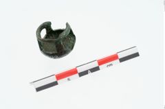 Foto von Bronzeringfußknopf (NHMW-PRAE-026019)
